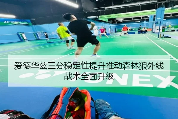 爱德华兹三分稳定性提升推动森林狼外线战术全面升级